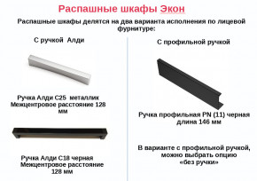 Шкаф с 2 ящиками Экон ЭШ3-РП-19-12-2я одно зеркало в Краснокамске - krasnokamsk.magazinmebel.ru | фото - изображение 2